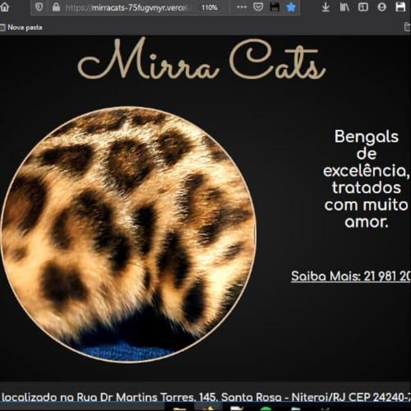 Tela do projeto Mirra Cats